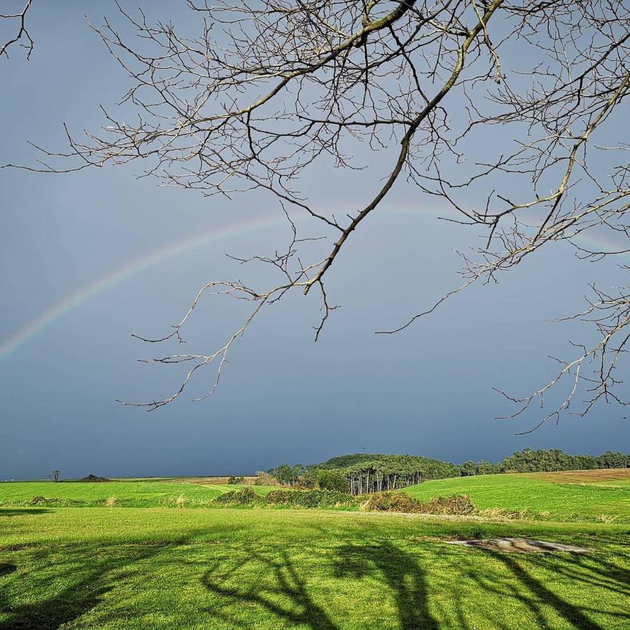 Affittacamere Casona Naviega Navia Esterno foto