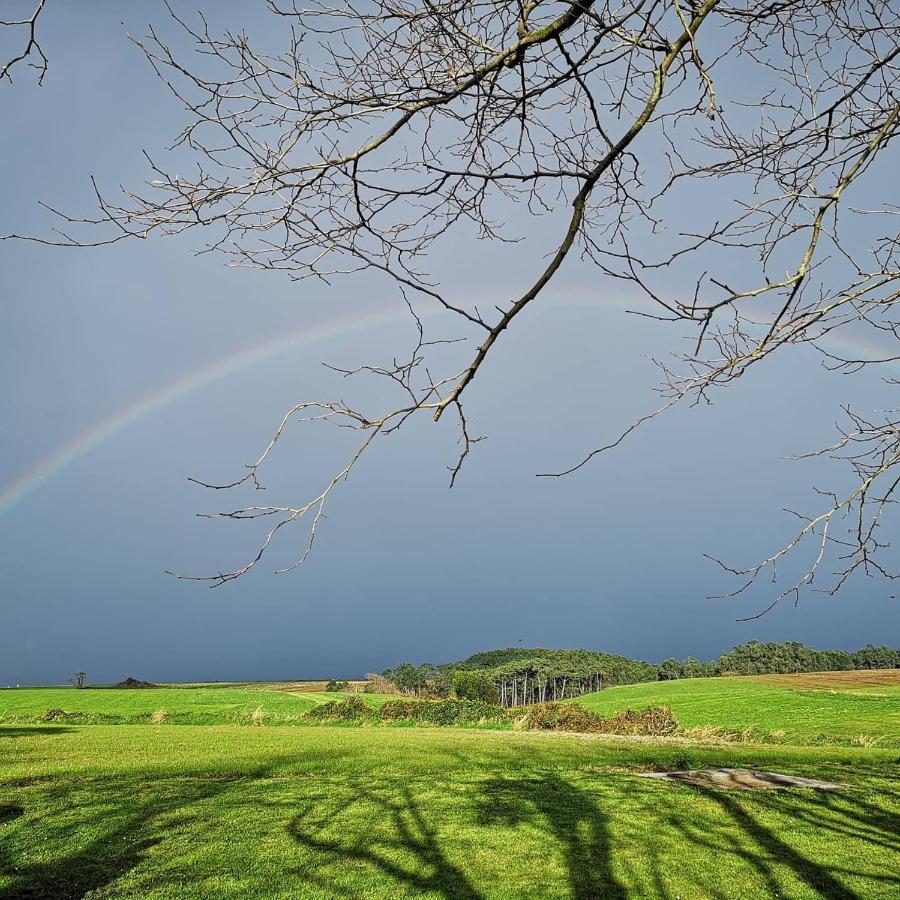 Casona Naviega Affittacamere Navia Esterno foto